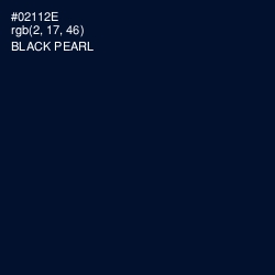 #02112E - Black Pearl Color Image